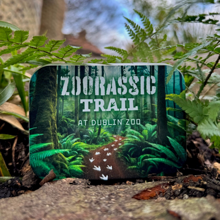 Zoorassic Trail Sweet Tin