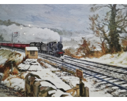 Snowy Midford