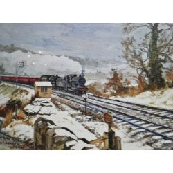 Snowy Midford