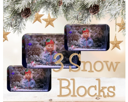 3 Snow Block
