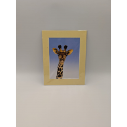 A brush with Africa Giraffe