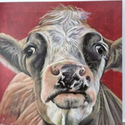 Curious Cow Greeting Card