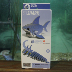 Small cardboard shark model kit