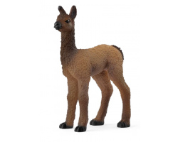 Llama Foal