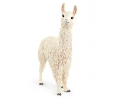 Llama