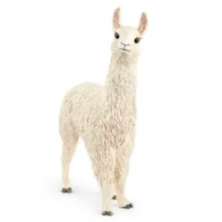 Llama