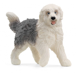 Old English Sheepdog