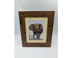 A brush with Africa Elephant (1C) Framed