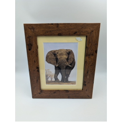 A brush with Africa Elephant (1C) Framed