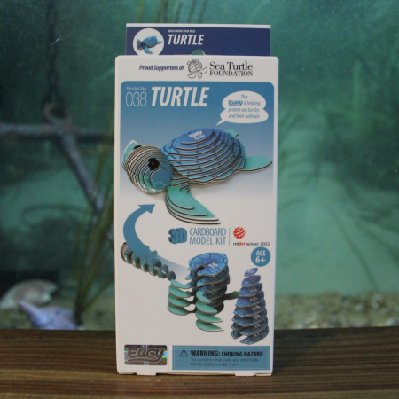 Small cardboard 3D Turtle model kit