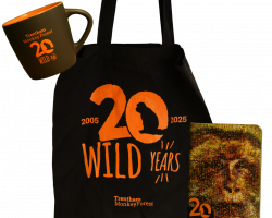 20 Wild Years Bundle