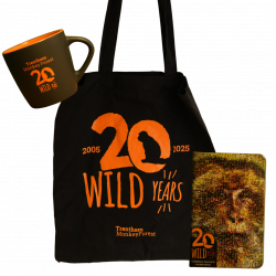 20 Wild Years Bundle