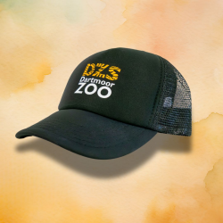 DZS Trucker Cap