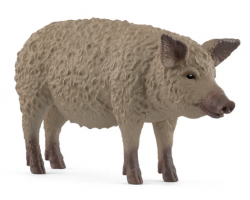 Mangalica Pig