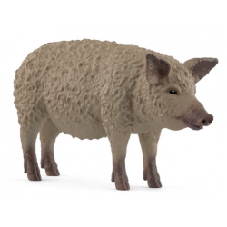 Mangalica Pig