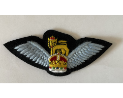 Pilot Wings SNCO and Officers on Working Dress