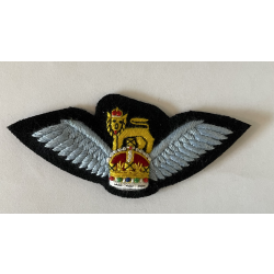 Pilot Wings SNCO and Officers on Working Dress