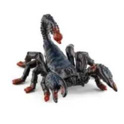 Emperor Scorpion