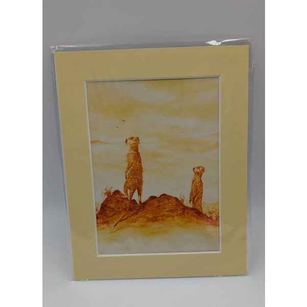 A brush with Africa Meerkat Pair