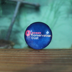 Ocean Conservation Trust Magnet