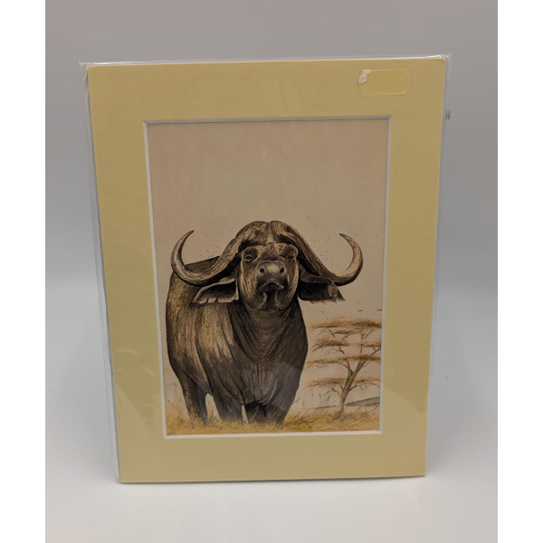 A brush with Africa Buffalo C