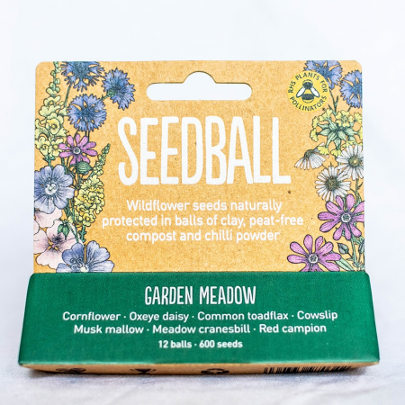 Garden Meadow Seedballs