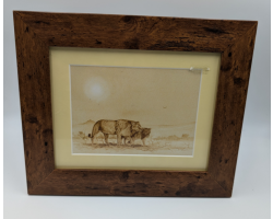 A brush with Africa Lioness Pair Framed