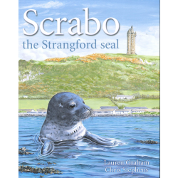 Scrabo the Strangford Seal