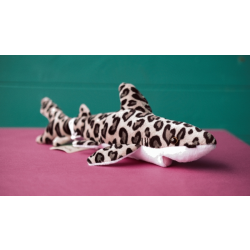 Zappi Leopard Shark - Soft Toy