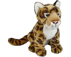 Jaguar 28cm Ravensden