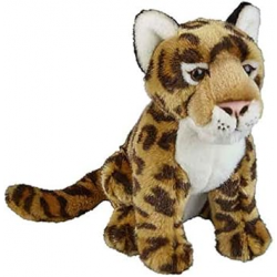 Jaguar 28cm Ravensden