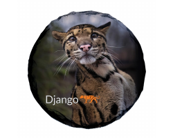 Slate Coaster- Django