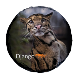 Slate Coaster- Django