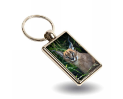 Key Ring - Griffin