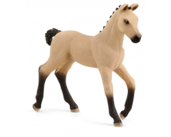 Hannoveraner Foal, Red Dun