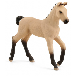 Hannoveraner Foal, Red Dun