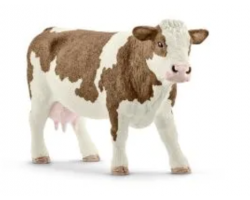 Simmental Cow