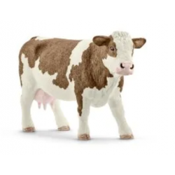 Simmental Cow