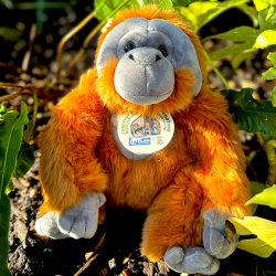 large nature planet orangutan plush.