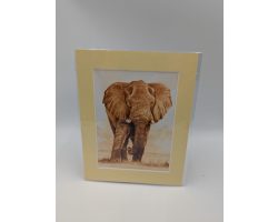 A brush with Africa Elephant (1G)