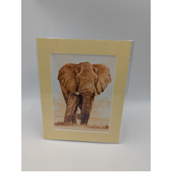 A brush with Africa Elephant (1G)