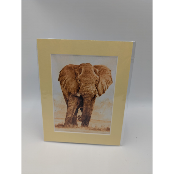 A brush with Africa Elephant (1G)