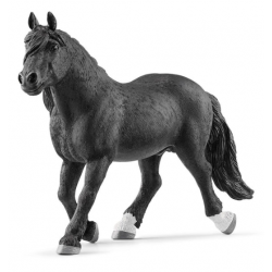 Noriker Stallion