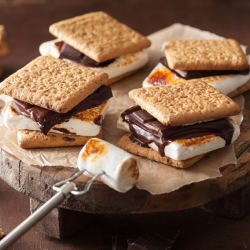 Grinch Family S'mores Kit