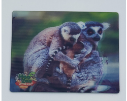 Hoo Zoo & Dinosaur World 3D Magnet Lemur