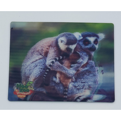 Hoo Zoo & Dinosaur World 3D Magnet Lemur