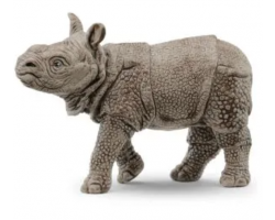 Indian Rhinoceros Baby