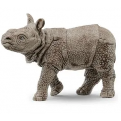 Indian Rhinoceros Baby