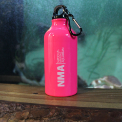 NMA Aluminium Bottle - Pink