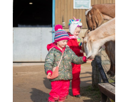100g Animal Feed